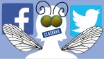 Top 11 Education Articles of 2022 Hidden by Facebook, Buried by Twitter, and Written by a&nbsp;Gadfly